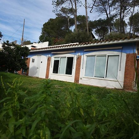 Raconet Azul - Circuito Cataluña Vallromanes Esterno foto